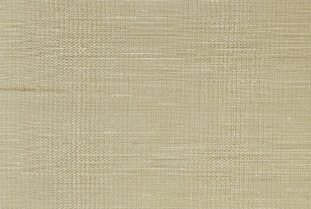 Tekstiiltapeet Vescom Silk Sinkiang 2105.01 beeź_1