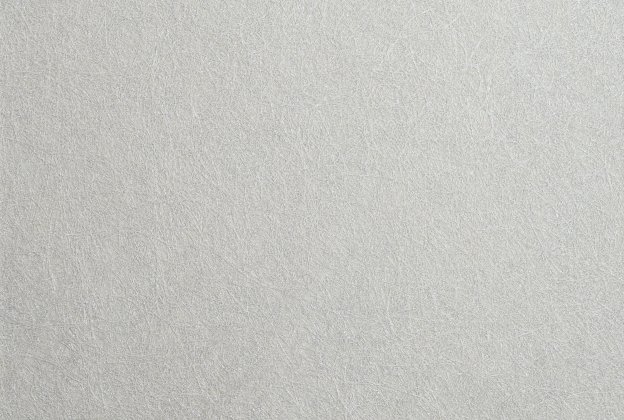 Tekstiiltapeet Vescom Woodpulp Corona 2618.14 hall_1