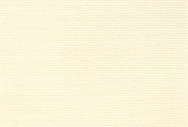 Tekstiiltapeet Vescom Silk Aditi 2624.22 valge _1