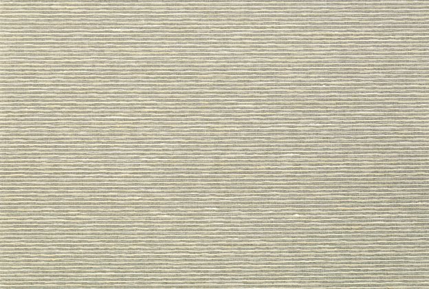 Tekstiiltapeet Vescom Silk Aditi 2624.24 hall/roheline_1