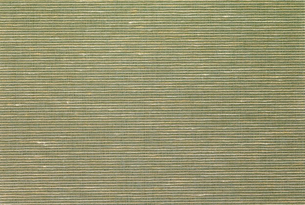 Tekstiiltapeet Vescom Silk Aditi 2624.28 roheline_1