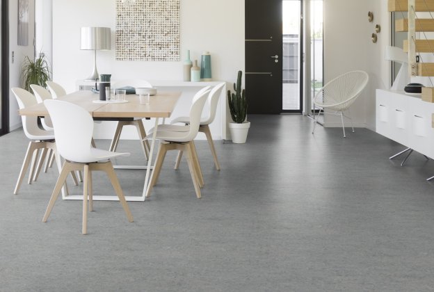 Linoleum 0053 Ice Grey_2