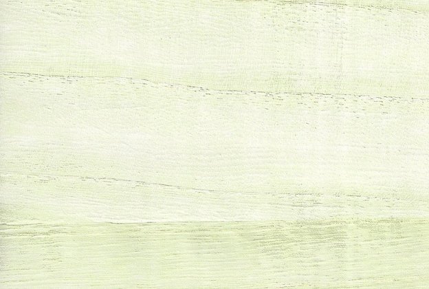 Käsitöötapeet Paper & Ink, Natural Silhouettes, ns52103 beeź_1