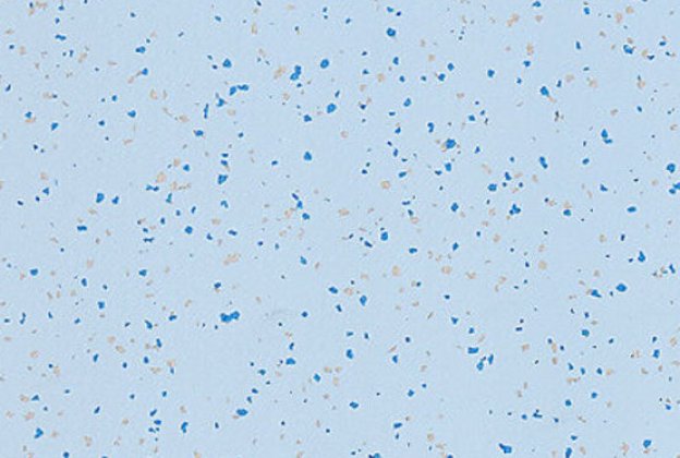 PVC kommersiell plass 4496 Light Sapphire_1