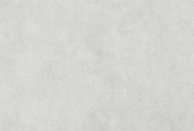 PVC seinakate märga ruumi Shower System "Mural Calypso" 7010 Haze hall_1