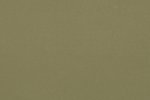 Linoleum 0090 Olive_1