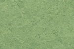 Linoleum 0100 Froskegrønn_1