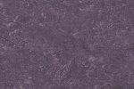 Linoleum 0128 Violet_1