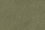 Linoleumi 0138 Khaki_1