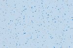 PVC-liiketila 4496 Light Sapphire_1