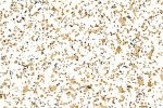 PVC-liiketila 4496 Light Sapphire_1