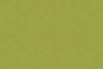 Vinüülseinakate Vescom Colour Choice 1056.098 roheline _1