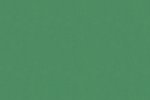Vinüülseinakate Vescom Colour Choice 1056.132 roheline _1