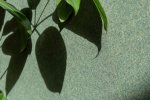Vinüülseinakate Vescom Fibras 1116.05 beeź_4