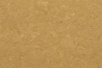 Linoleum Gerflor Acoustic Plus 19 dB 0073 SPICY ORANGE oranź_1