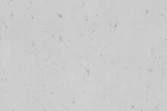 Линолеум 0019 Закат Оранжевый - Cloned - Cloned - Cloned_1