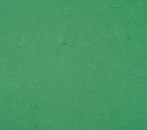 Linoleum 0006 Vivid Green