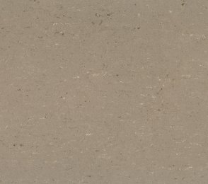 Linoleum Gerflor DLW Colorette 0043 Light Mud helepruun