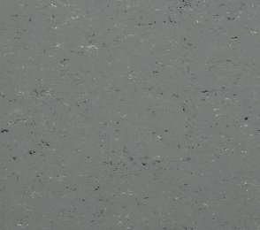 Linoleum Gerflor DLW Colorette 0059 Stone Grey hall