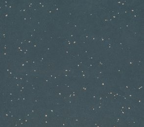 Linoleum Gerflor DLW Lino Art Metallic 0070 COOL GREY hall