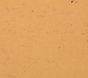 Linoleum Gerflor Colorette 0073 Sand Yellow kollane
