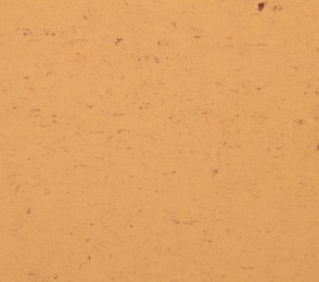 Linoleum Gerflor DLW Colorette 0073 Sand Yellow kollane