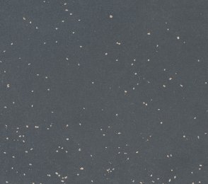 Linoleum 0083 Alumino Light Grey