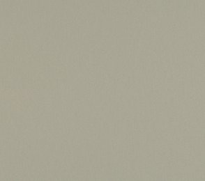 Linoleum 0085 Warm Concrete Grey