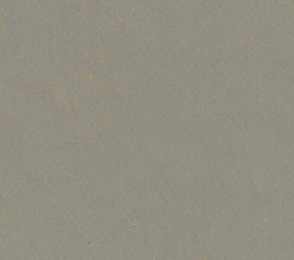 Linoleum Gerflor DLW Lino Art Urban 0551 FLASHY ASPHALT GREY hall