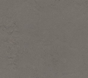 Linoleum 0560 Bold Grey