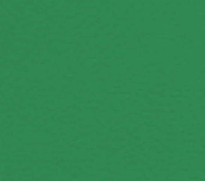 Sportpõrand Gerflor Taraflex Recreation 45, 6563 Menta roheline