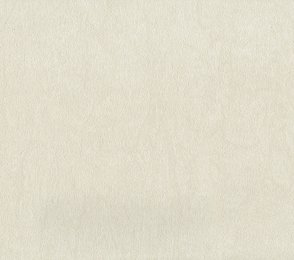 Vinüülseinakate Muraspec Brayer -P8613 beeź