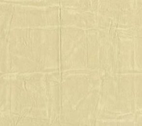 Vinüülseinakate Muraspec Artemis -07A65 beeź  