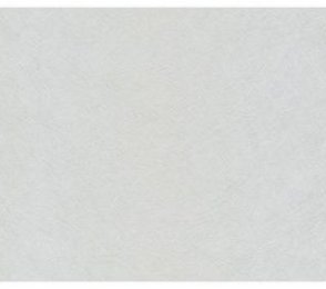 Vinüülseinakate Muraspec Swirled fibres -P4856 hall