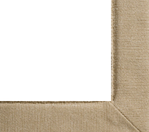 Vaiba ääristus Chenille 401 - champagne pruun