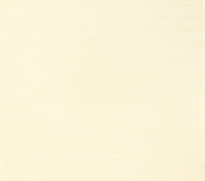 Tekstiiltapeet Vescom Silk Aditi 2624.22 valge 