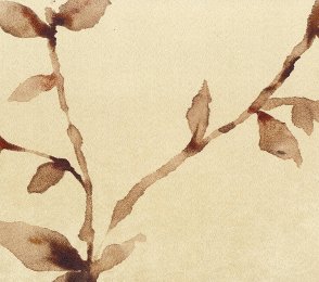 Vinüülseinakate Muraspec Florals & Botanics -LTD00502 Taimed  