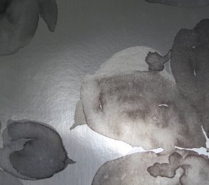 Vinüülseinakate Muraspec Florals & Botanics -LTD00484 Taimed 