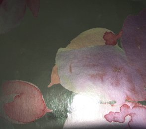 Vinüülseinakate Muraspec Florals & Botanics -LTD00482 Taimed 