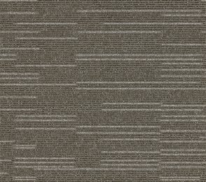 Plaatvaip Paragon Elemental Cloudburst, Stratus Mist, 805124 hall/ beeź