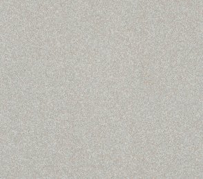 Niiske ruumi PVC Gerflor Shower System "Tarasafe H2O" 0024 Peyto hall