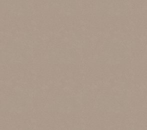 Vinüülseinakate Vescom Colour Choice 1056.053 pruun 