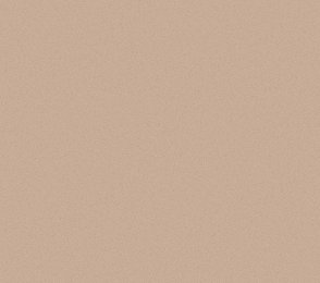 Vinüülseinakate Vescom Nero 1024.10 pruun