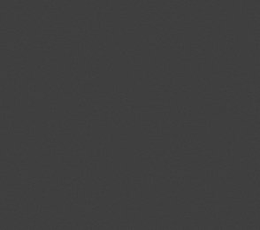 Vinüülseinakate Vescom Nero 1024.21 hall