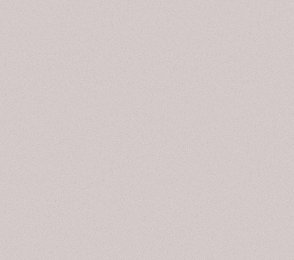 Vinüülseinakate Vescom Nero 1024.31 beeź