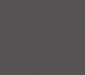 Vinüülseinakate Vescom Nero 1024.35 hall