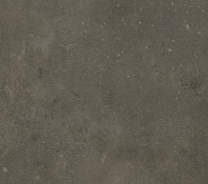 PVC äriruumi Gerflor Nerok 55 Compact 2134 LEONE BROWN pruun