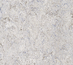 Linoleum Gerflor DLW Marmorette Acoustic Plus 0155 SMOKED PEARL hall